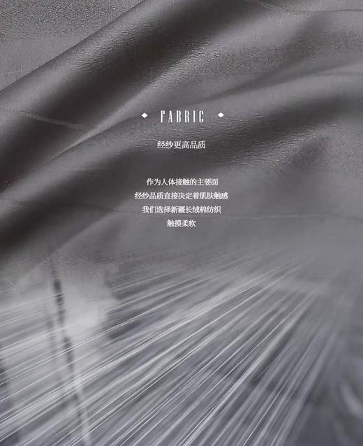 希尔顿伯爵六件套（烟熏色） 商品图1