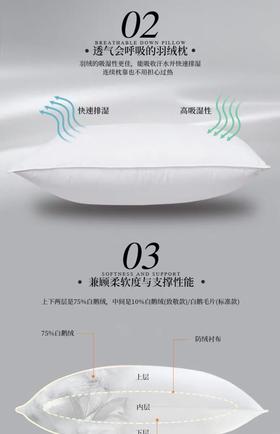 希尔顿沁芯75%白鹅绒枕