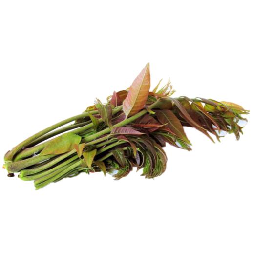 【云农精选】新鲜椿菜（香椿芽） 商品图1