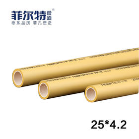菲尔特PPR 水管 25*4.2