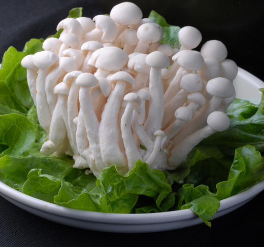 【百汇到家】散白玉菇 商品图0