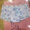 女平角内裤 商品缩略图2