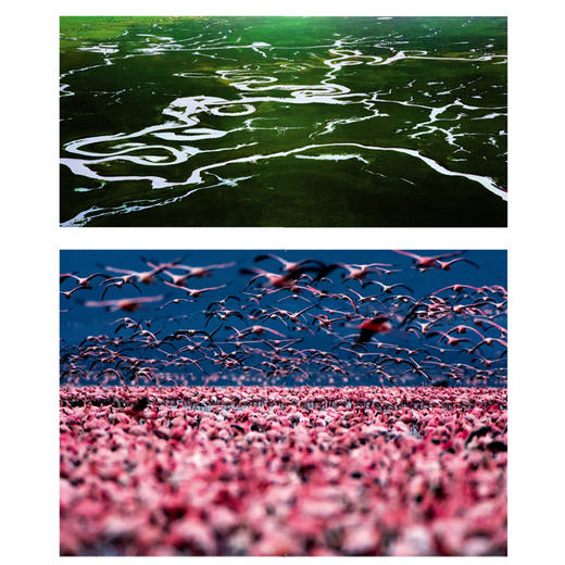 大美无疆 邹本东摄影50年 摄影集/作品集  中国摄影金像奖“开拓杯奖” 当代国际摄影双年展“学院荣誉奖” 获得者 商品图3