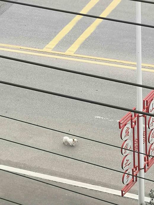 234 商品图0