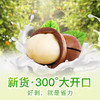夏威夷果268g  300°好剥大开口 商品缩略图2