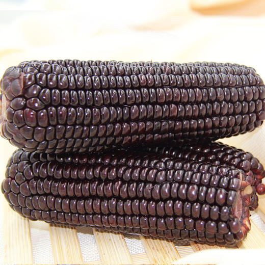 山西忻州富硒糯玉米200g*12穗水果营养玉米 烧烤玉米瘦身玉米包邮 商品图3