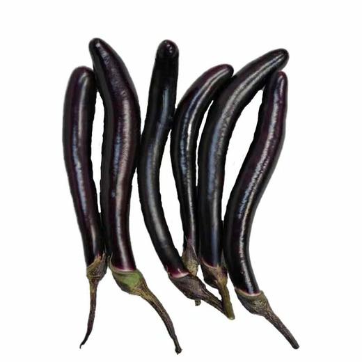 茄子500g/份 商品图2