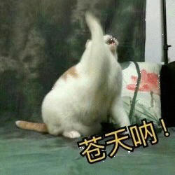 暮暮测试多规格会员价 商品图0