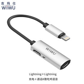 WIWU耳机pro转接头XSmax转接线