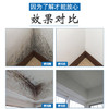 【现货】芳贝斯除霉剂雾 500ml 墙纸白墙木材墙布快速除霉 热卖 商品缩略图1