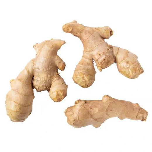 生姜500g/份 商品图1