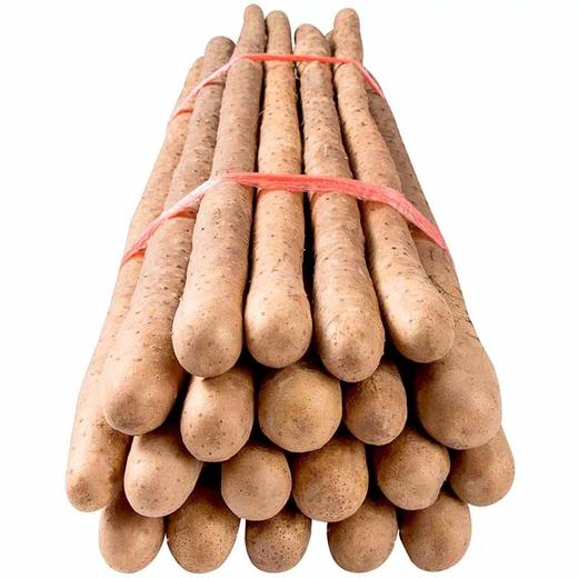 铁棍山药500g/份 商品图2