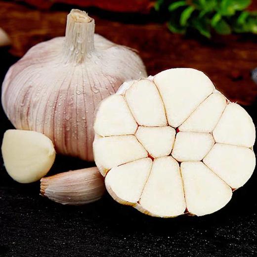 蒜头500g/份 商品图1