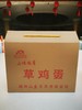 金元宝草鸡蛋 商品缩略图1