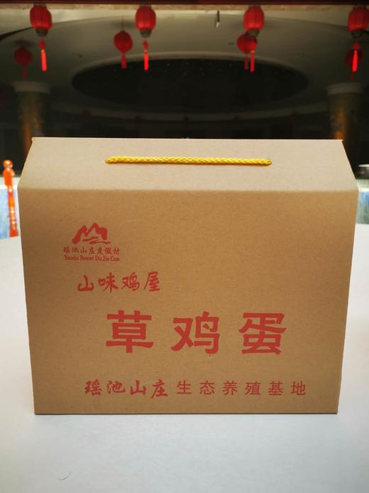 金元宝草鸡蛋 商品图1