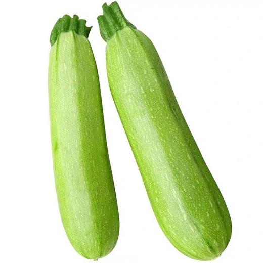 西葫芦   500g/份 商品图2