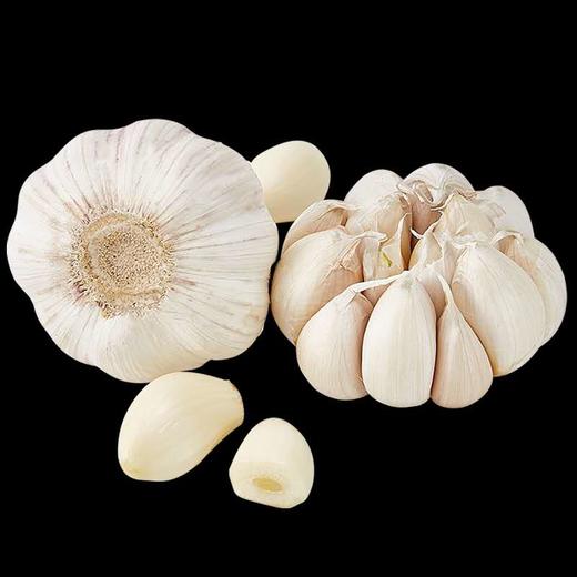 蒜头500g/份 商品图2
