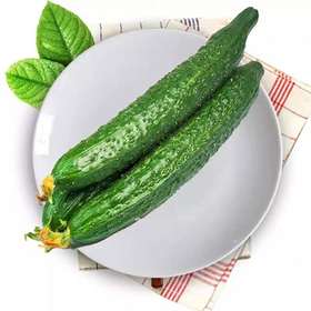 青瓜500g/份