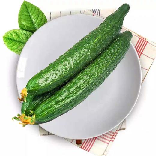 青瓜500g/份 商品图0