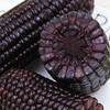 山西忻州富硒糯玉米200g*12穗水果营养玉米 烧烤玉米瘦身玉米包邮 商品缩略图1
