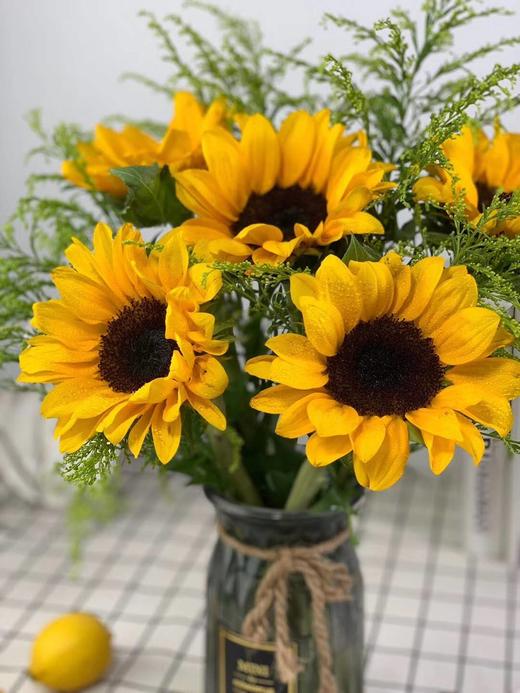 昆明鲜花向日葵+黄莺，主花5枝+辅花8枝 商品图3