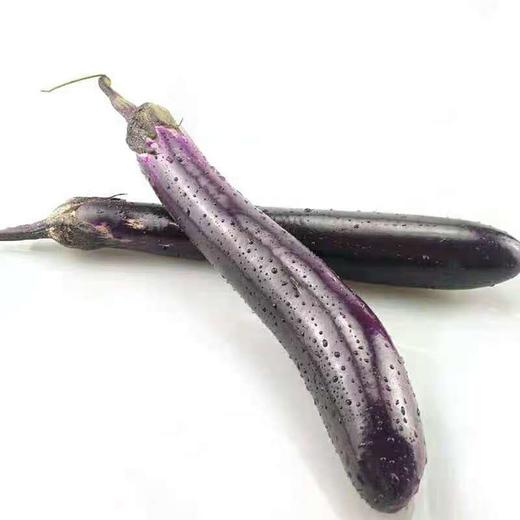 茄子500g/份 商品图0