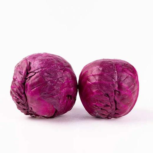紫包菜  约1.6斤±50g/个 商品图1