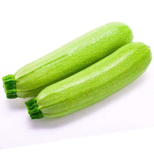 西葫芦   500g/份 商品图4