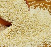 熟白芝麻 商品缩略图0