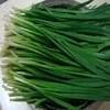 韭菜500g/份 商品缩略图1