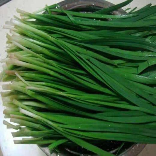 韭菜500g/份 商品图1