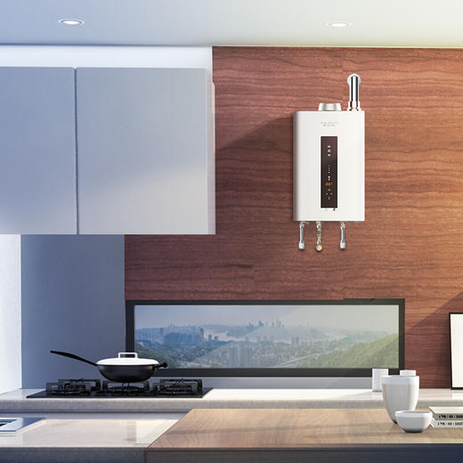 史密斯 (A.O.SMITH) 16升燃气热水器 家用 智能静音 零冷水 水箱8年包换 JSQ31-VJSX(天然气) 商品图8