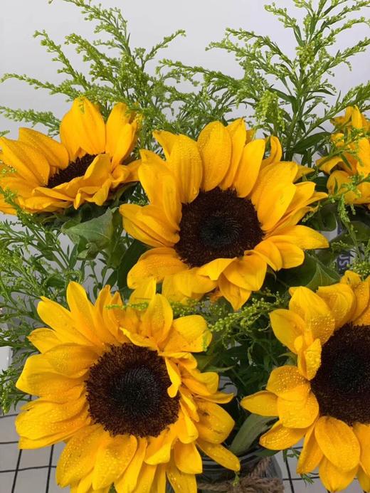 昆明鲜花向日葵+黄莺，主花5枝+辅花8枝 商品图2