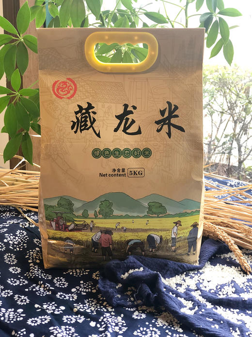 金元宝藏龙大米 商品图0