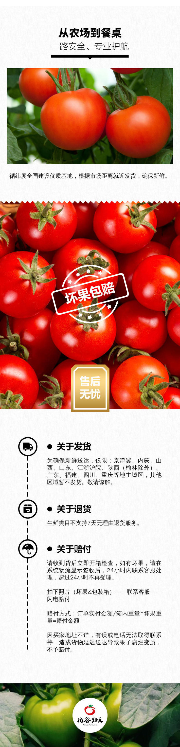凡谷普罗旺斯番茄 2.5kg装