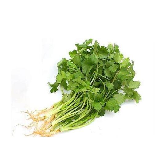 香菜100g/份 商品图3