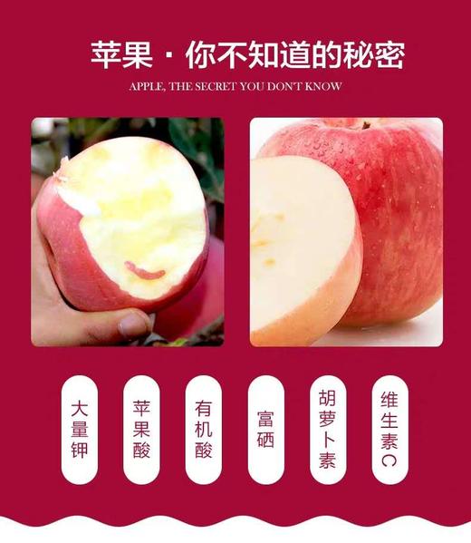 85#苹果 500g±50g/份 商品图1