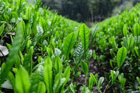 当每一个你我变得更好，明天就一定会更好！