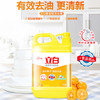 立白新金桔洗洁精4kg/瓶  快速去油 不伤手 商品缩略图1