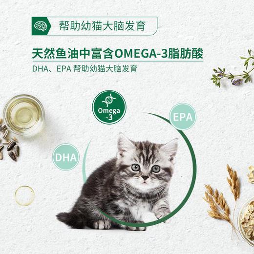 美士经典配方添加鸡肉糜全价幼猫粮1.8kg 商品图2