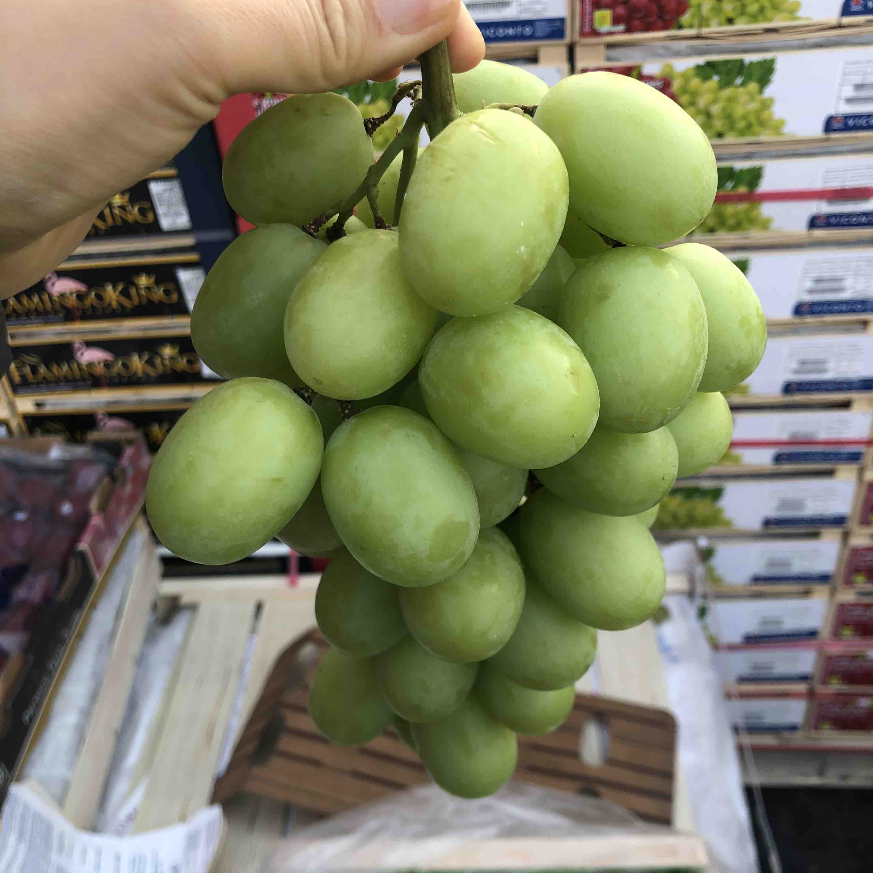 澳洲秋天脆