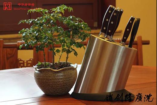 不锈钢菜刀套组 全套厨房套刀 龙泉沈广隆剑铺宝剑 沈广隆刀具  未开刃 商品图0