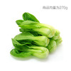 精品油菜 商品缩略图0