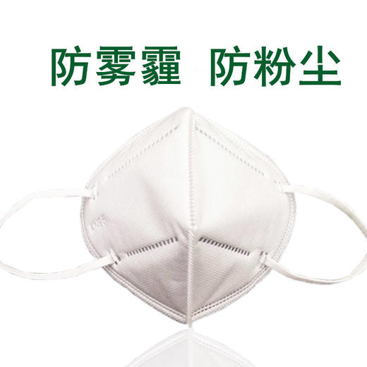 【KN95-10只装现货现发】KN95防尘透气口罩PM2.5防飞沫防风防雾霾 商品图3