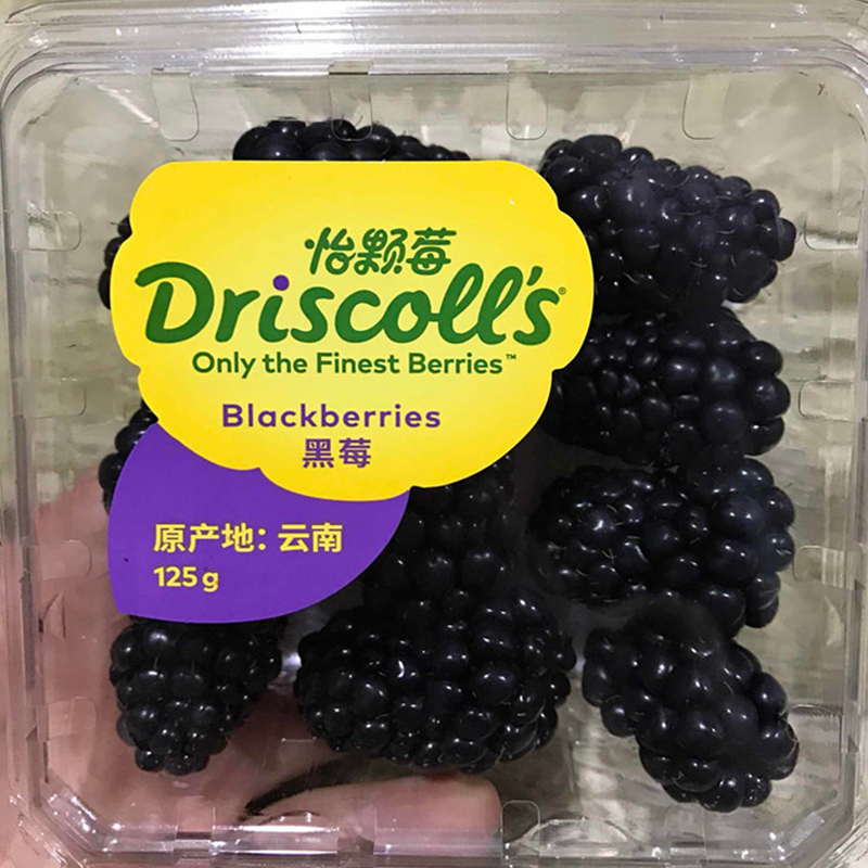 driscolls怡颗莓当季云南黑莓原箱12盒装约125g盒新鲜生命之果黑钻石