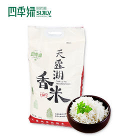 四季绿天露湖香米（10kg/袋，非真空包装）