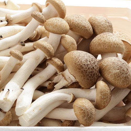 【百汇到家】散味菇 商品图0