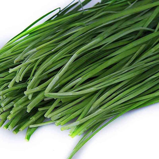 韭菜1000g 商品图0
