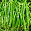 精选杭椒1000g 商品缩略图0