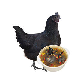 正宗苗家高山乌鸡2斤